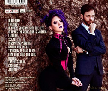Ashbury Heights: The Victorian Wallflowers [CD]