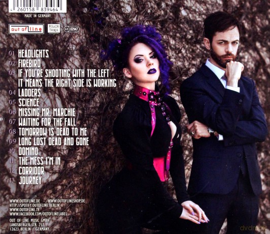 Ashbury Heights: The Victorian Wallflowers [CD]