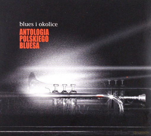 Antologia Polskiego Bluesa Blues i okolice [CD]