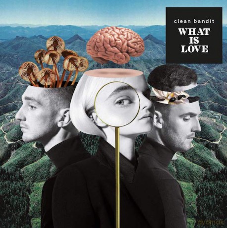 Clean Bandit: What Is Love [CD]