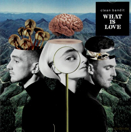 Clean Bandit: What Is Love [CD]