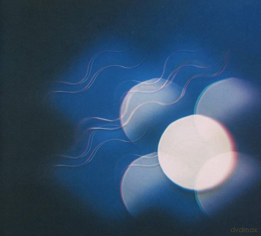 Mutual Benefit: Thunder Follows The Light [CD]