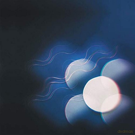 Mutual Benefit: Thunder Follows the Light [Winyl]