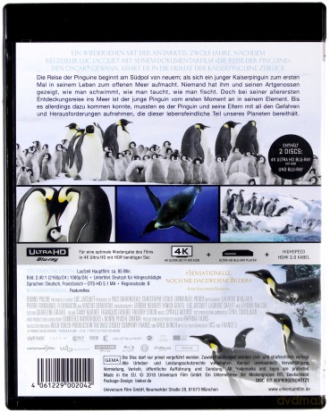 March of the Penguins 2: The Next Step (Marsz Pingwinów 2: Przygoda na krańcu świata)) [Blu-Ray 4K]+[Blu-Ray]