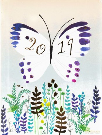 Kalendarz 2019 fauna B6 dns motyl 70208 [KALENDARZ]