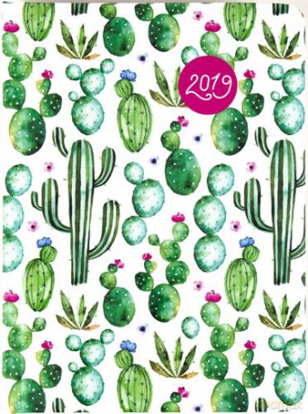 Kalendarz 2019 flora B6 dnt kaktusy 70211 [KALENDARZ]