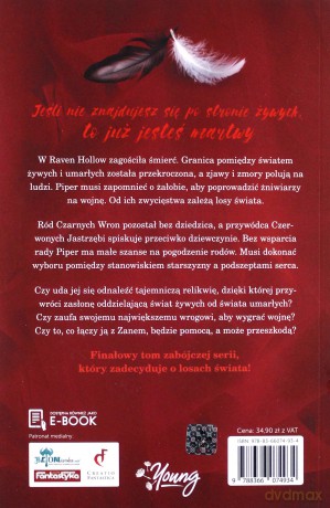 Symetria dusz. Raven (Tom 3) - J. L. Weil [KSIĄŻKA]