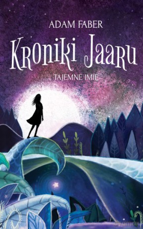 Tajemne imię. Kroniki Jaaru (Tom 4) - Adam Faber [KSIĄŻKA]
