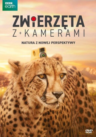 Zwierzęta z kamerami (BBC) [DVD]