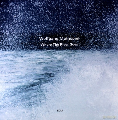 Wolfgang Muthspiel: Where The River Goes [Winyl]