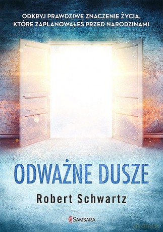 Odważne dusze. Odkryj prawdziwe znaczenie życia, które zaplanowałeś przed urodzinami - Robert Schwartz [KSIĄŻKA]