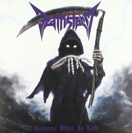Deathstorm: Reaping What Is Left [Winyl]