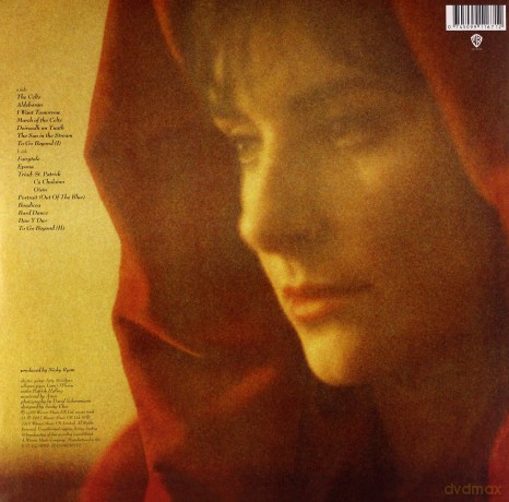 Enya: The Celts [Winyl]