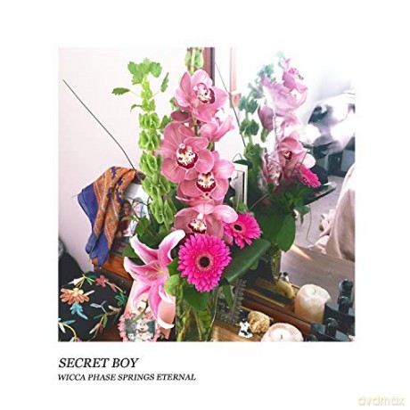 Wicca Phase Springs Eternal: Secret Boy [Winyl]