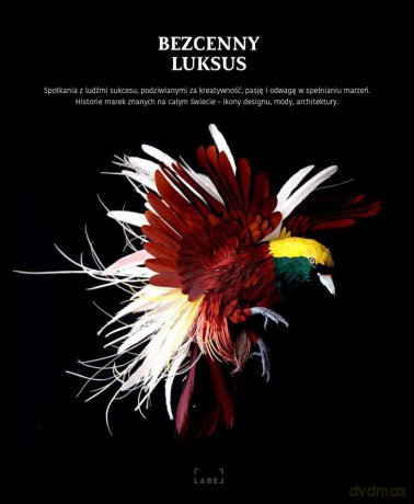 Bezcenny luksus. Rozmowy z autorytetami [KSIĄŻKA]