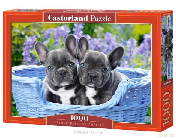 CASTORLAND 1000 el. French Bulldog Puppies [PUZZLE]