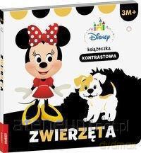 Disney Maluch. Książeczka kontrastowa. Zwierzęta [KSIĄŻKA]