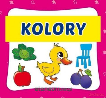 Harmonijka mała. Kolory - Emilia Pruchnicka [KSIĄŻKA]