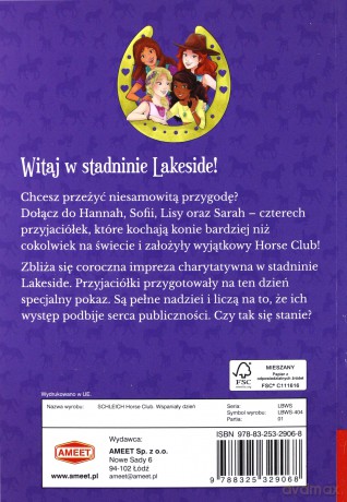 Horse Club. Wspaniały dzień - Emma Walden [KSIĄŻKA]