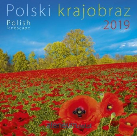 Kalendarz 2019 wieloplanszowy - Polski Krajobraz [KALENDARZ]
