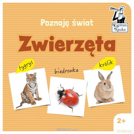 Poznaję świat. Zwierzęta [KSIĄŻKA]