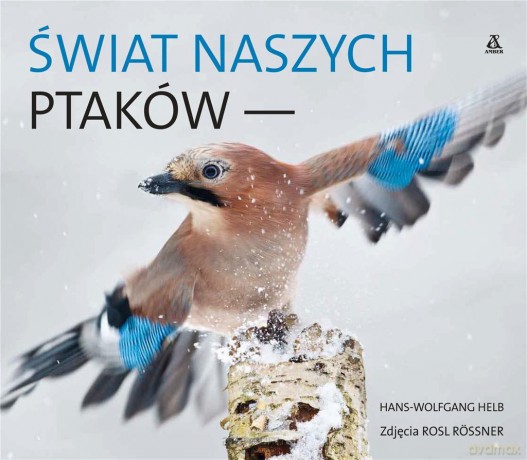 Świat naszych ptaków - Hans-Wolfang Helb [KSIĄŻKA]