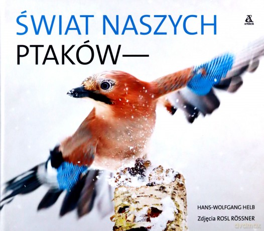 Świat naszych ptaków - Hans-Wolfang Helb [KSIĄŻKA]