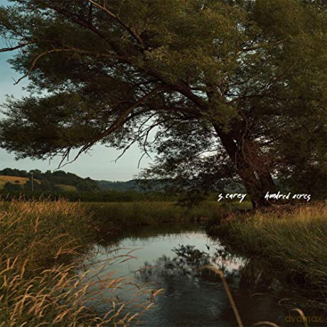 S Carey: Hundred Acres [Winyl]