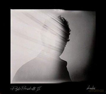 Doyle Bramhall II: Shades  [CD]