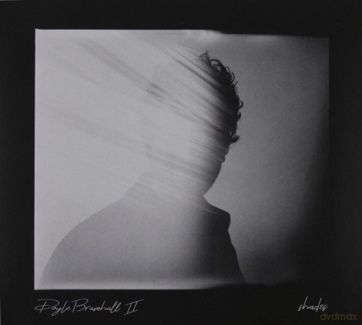 Doyle Bramhall II: Shades  [CD]