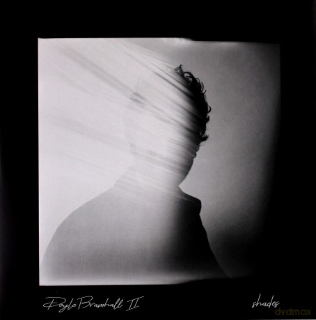 Doyle Bramhall II: Shades [2xWinyl]