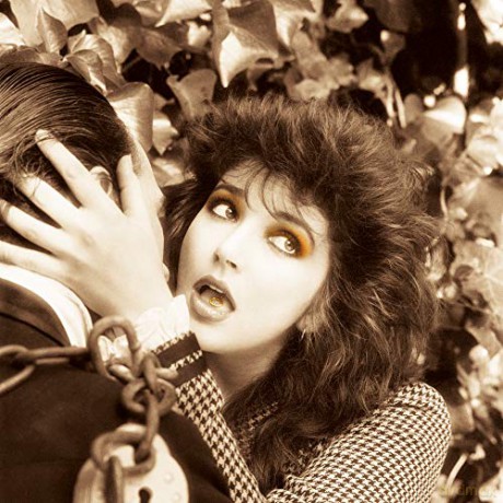Kate Bush: Remastered in Vinyl [4xWINYL]