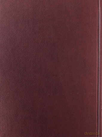 Biblia Tysiąclecia - skórzana, panigatory, złocona [KSIĄŻKA]