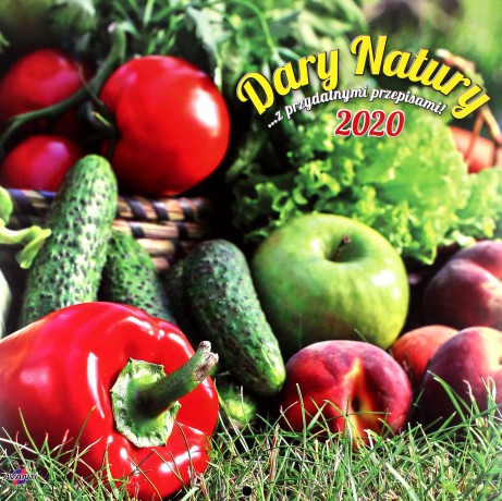 Kalendarz 2019 KAD-3 Dary natury [KALENDARZ]