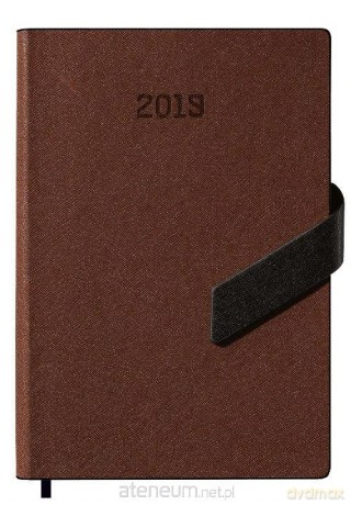 Kalendarz 2019 książkowy A5 brązowy [KALENDARZ]