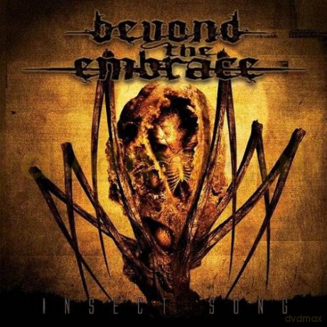 Beyond The Embrace: Insect Song [CD]