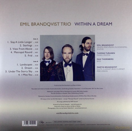 Emil Brandqvist Trio: Within A Dream [Winyl]