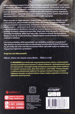 Niszczący Sekret - K. Bromberg [KSIĄŻKA]
