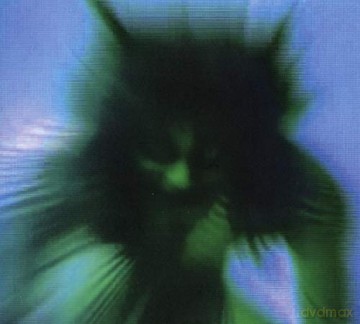 Yves Tumor: Safe In The Hands Of Love [CD]