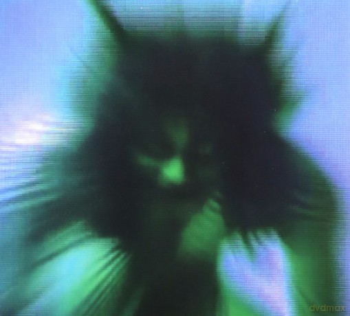 Yves Tumor: Safe In The Hands Of Love [CD]