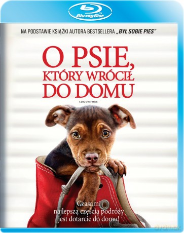 O psie, który wrócił do domu [Blu-Ray]