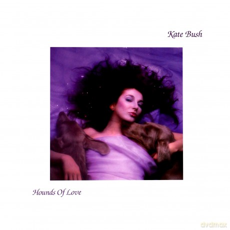 Kate Bush: Hounds Of Love [Winyl]