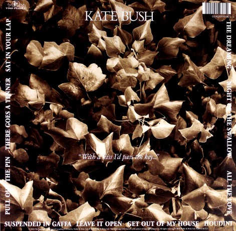 Kate Bush: The Dreaming [Winyl]