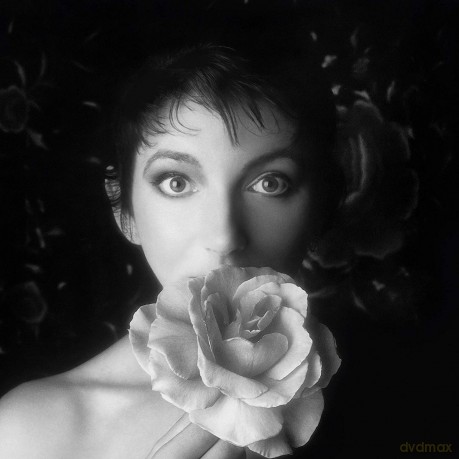Kate Bush: Vinyl Box 2 [3xWinyl]