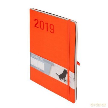 Kalendarz Notes 2019 Minimalizm B5 Pomarańczowy [KALENDARZ]