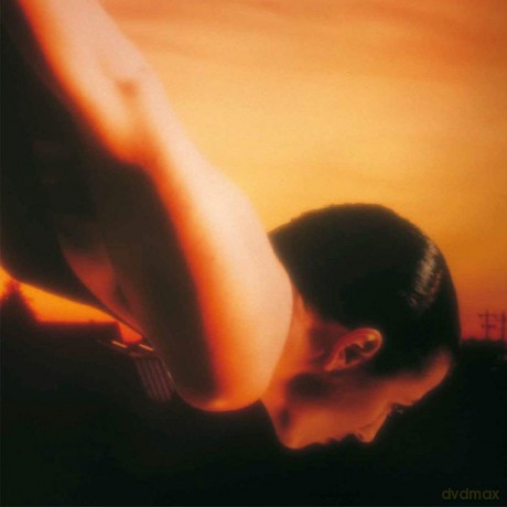 Porcupine Tree: On The Sunday Of Life [2xWinyl]