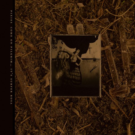 The Pixies: Come On Pilgrim... It's Surfer Rosa [3CD]