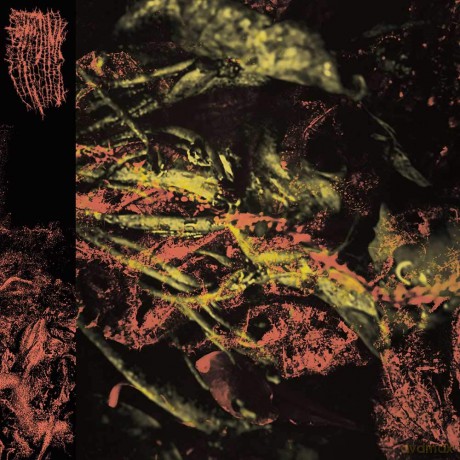 Hissing: Permanent Destitution (digipack) [CD]