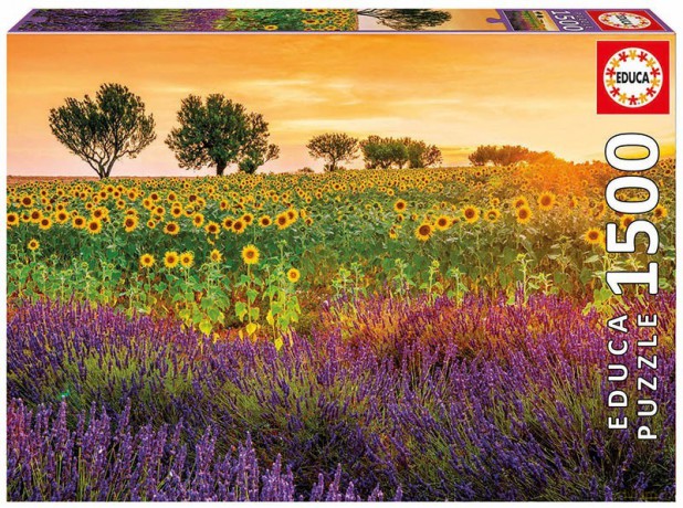 EDUCA 1500 el. Pole słoneczników i lawendy [PUZZLE]