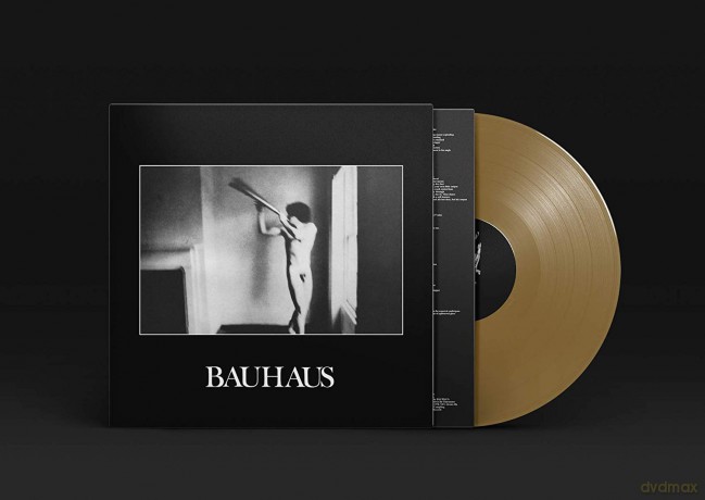 Bauhaus: In The Flat Field 2018 [Winyl]